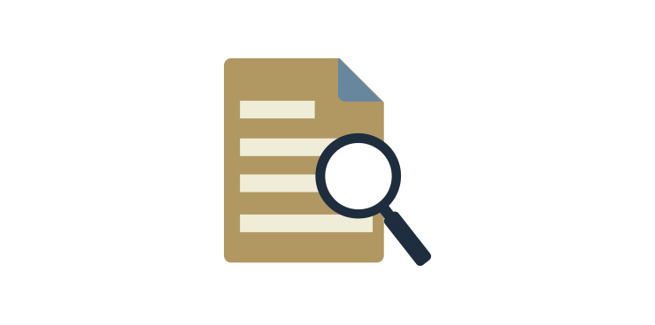 Icon of a document and a magnifying glass